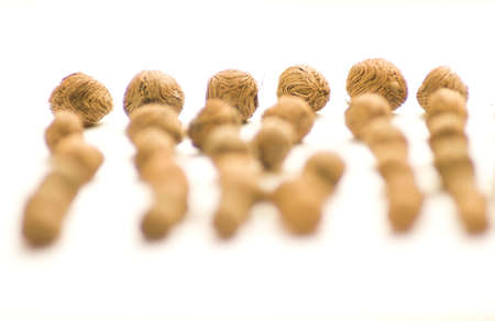 Seeds6の写真素材