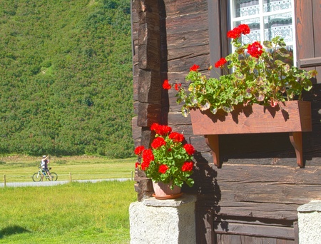 Flowerpot of an alpine hutの写真素材