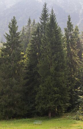 Alpine panorama in summer time, Italian Alpsの写真素材