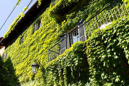 Bellagio, Italy - 13 August 2013: Detail of Bellagio in summer time, Italyのeditorial素材