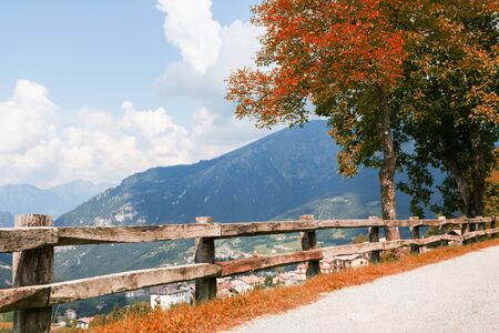 Alpine nature with the colors of autumnの写真素材