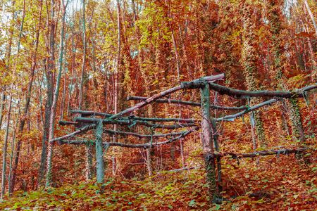 Alpine nature with the colors of autumnの写真素材