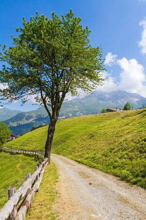 View of a sunny day on Italian Alps in summer time. Blue sky over the panoramaの写真素材