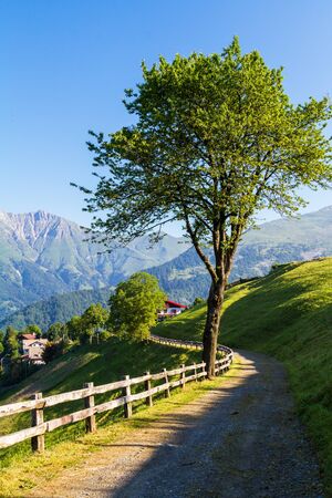 Alpine panorama in summer time, sunny dayの写真素材