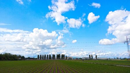 blue sky above farmland in spring timeの写真素材