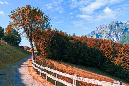 Alpine landscape in autumn, colorful nature and forestの写真素材