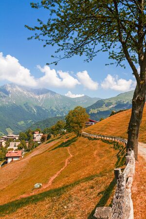 Alpine landscape in autumn, colorful nature and forestの写真素材