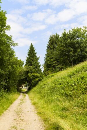 Mountain landscape in summer time, alpine panoramaの写真素材