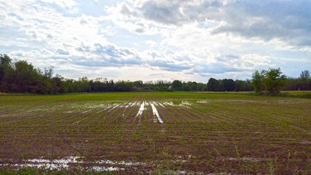 field after a storm with the sky reflected in a puddle of waterの写真素材