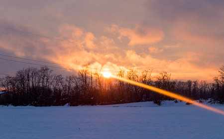 Sunshine thorugh the trees on the field in winter timeの写真素材