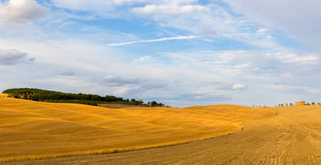 View of Tuscan hills in summer time at sunsetの写真素材