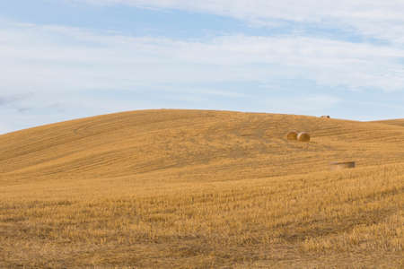 View of Tuscan hills in summer time at sunsetの写真素材