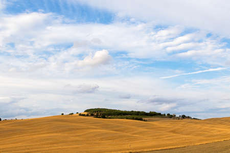 View of Tuscan hills in summer time at sunsetの写真素材