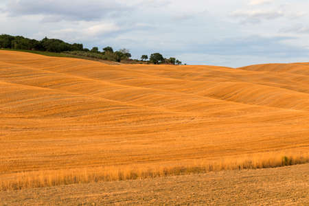 View of Tuscan hills in summer time at sunsetの写真素材