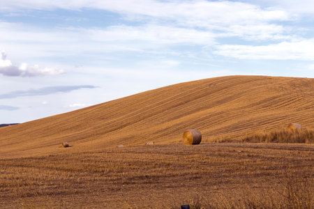 View of Tuscan hills in summer time at sunsetの写真素材