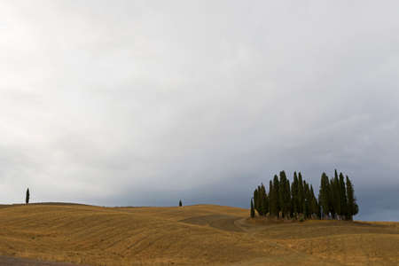 Cypress ring on the hill in a cloudy day, Tuscanyの写真素材