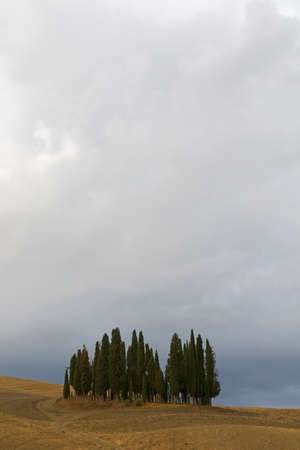 Cypress ring on the hill in a cloudy day, Tuscanyの写真素材