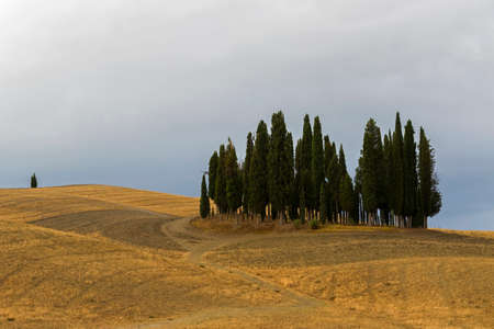 Cypress ring on the hill in a cloudy day, Tuscanyの写真素材