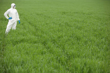 biotechnology engineer in white uniform, mask, goggles on field of genetically modified crops の写真素材