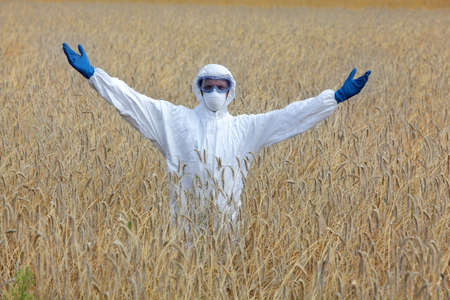 gmo ready  agricultural engineer on field of field of ryeの写真素材