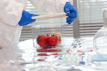 Scientist dressed in protective gear working with  vegetables in plastic containerの写真素材