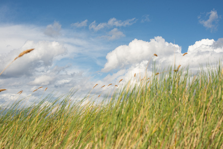 summer landscape with cloudsの写真素材
