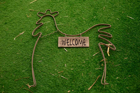 decoration decorative rooster lying on the grassの写真素材