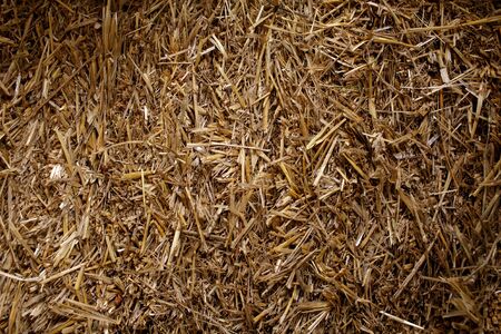 hay background