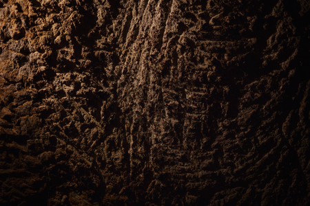 old stone wall in the wine cellarの写真素材