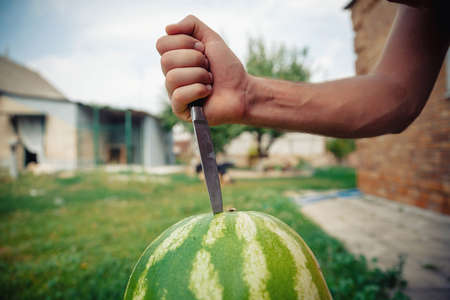 Angry tanned bearded man with a large red mustache holds and aggressively bites a piece of ripe...