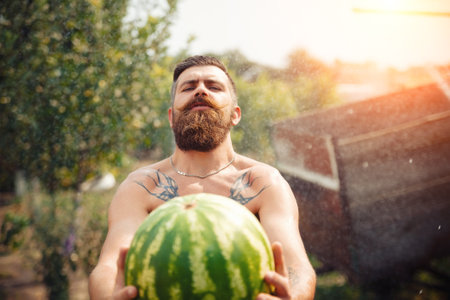 Angry tanned bearded man with a large red mustache holds and aggressively bites a piece of ripe watermelon in the rain in a green gardenの写真素材