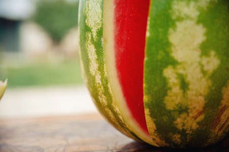 Wet tanned bearded man with a big red mustache laughs and holds a piece of ripe red watermelon in the rain in a green gardenの写真素材