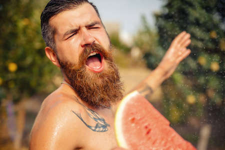 Angry tanned bearded man with a large red mustache holds and aggressively bites a piece of ripe watermelon in the rain in a green gardenの写真素材