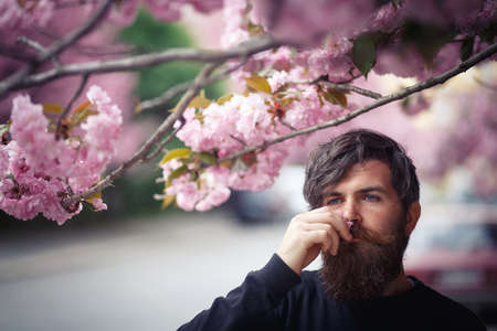 A bearded male programmer with a long beard and dark gray hair in a shirt and jeans squatted on the green grass in the park with a laptop. Game developer resting in natureの写真素材