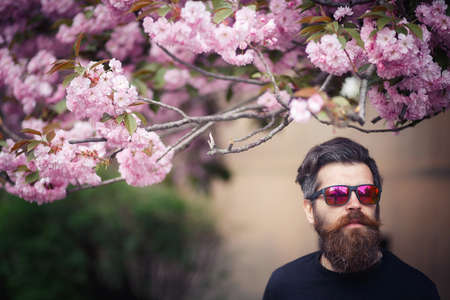 Charismatic bearded adult man with long mustache and gray hair near cherry blossom trees in springの写真素材