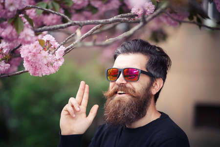 Cheerful bearded male developer with a long beard and dark gray hair in a shirt and jeans hugs a laptop on the background of a green park in springの写真素材