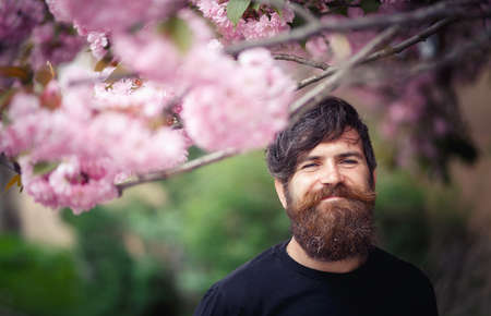 Cheerful bearded male developer with a long beard and dark gray hair in a shirt and jeans hugs a laptop on the background of a green park in springの写真素材