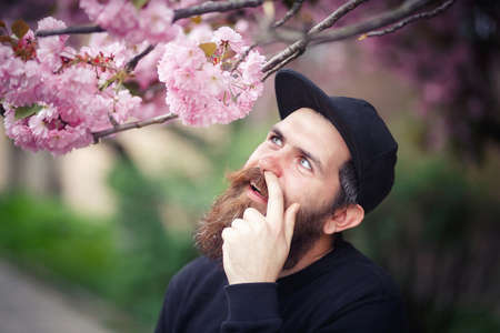 Cheerful bearded male developer with a long beard and dark gray hair in a shirt and jeans hugs a laptop on the background of a green park in springの写真素材