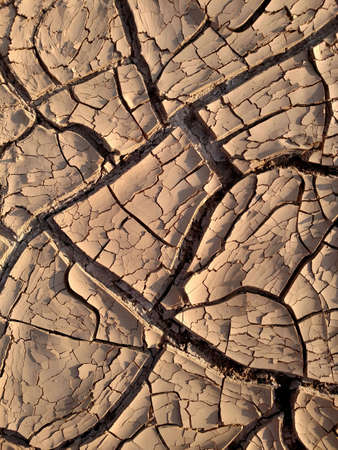 Image of cracked clay. Texture for background. Natural background for your design.の写真素材