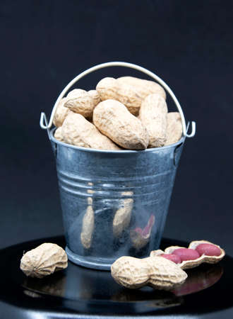 Red peanut seeds in miniature bucket on black background.