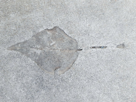 The imprint of a fallen autumn leaf on gray dry concrete close-up.の写真素材