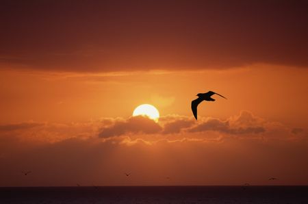Seascape with sun, red sky, clouds and birdsの写真素材