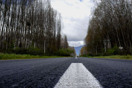 ground level view of a rural road on winter
