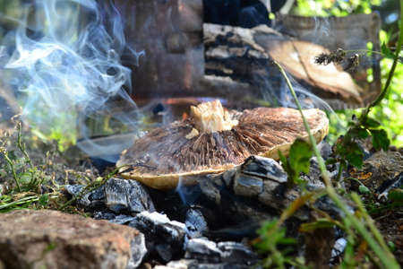 Kebab meat and barbecue are a great mealの写真素材