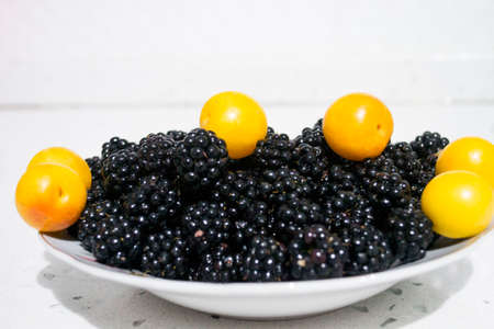 Blackberries, fruits with high antioxidantの写真素材