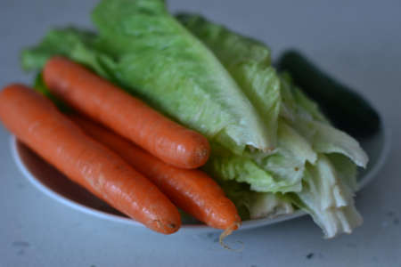 Parsley, rocket, lettuce, sour grass is important for healthy nutritionの写真素材