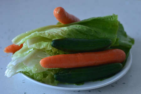 Parsley, rocket, lettuce, sour grass is important for healthy nutritionの写真素材