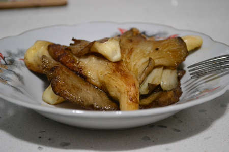 the fungus is rich in nutrients rich in proteinの写真素材