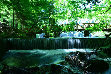 Lake view rests people, water is lifeの写真素材