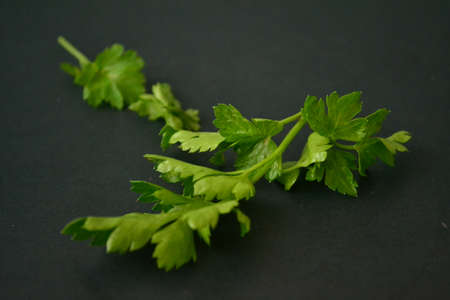 Parsley, mint, dill and onion are consumed naturally and my health is beneficialの写真素材